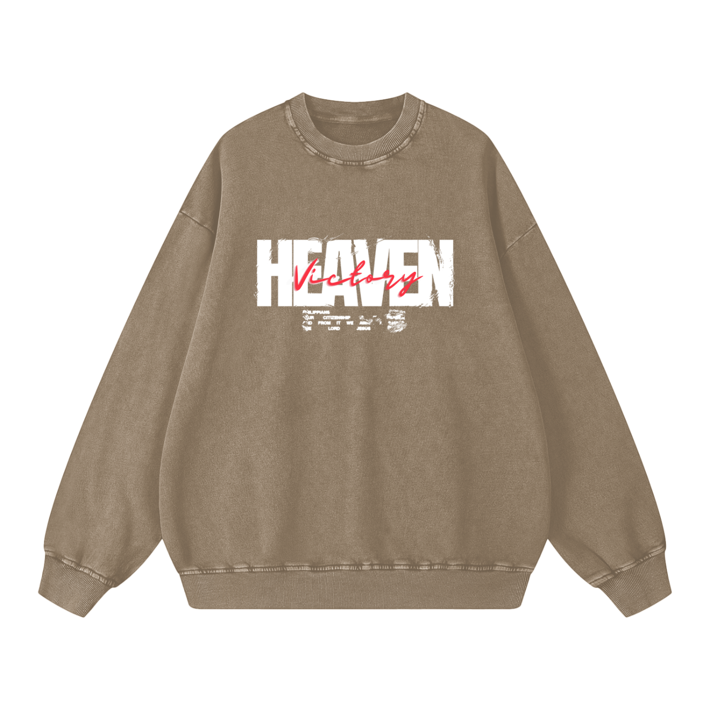 Snow Washed Oversized Sweatshirt